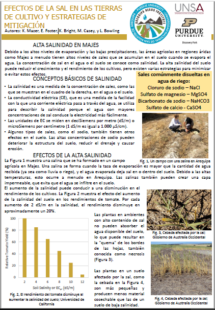 Salinity Management in Majes