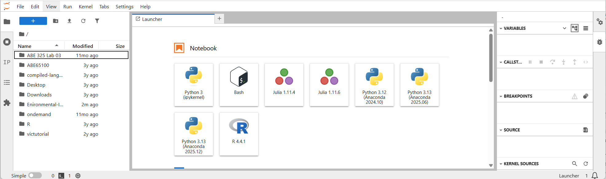 JupyterLab panel