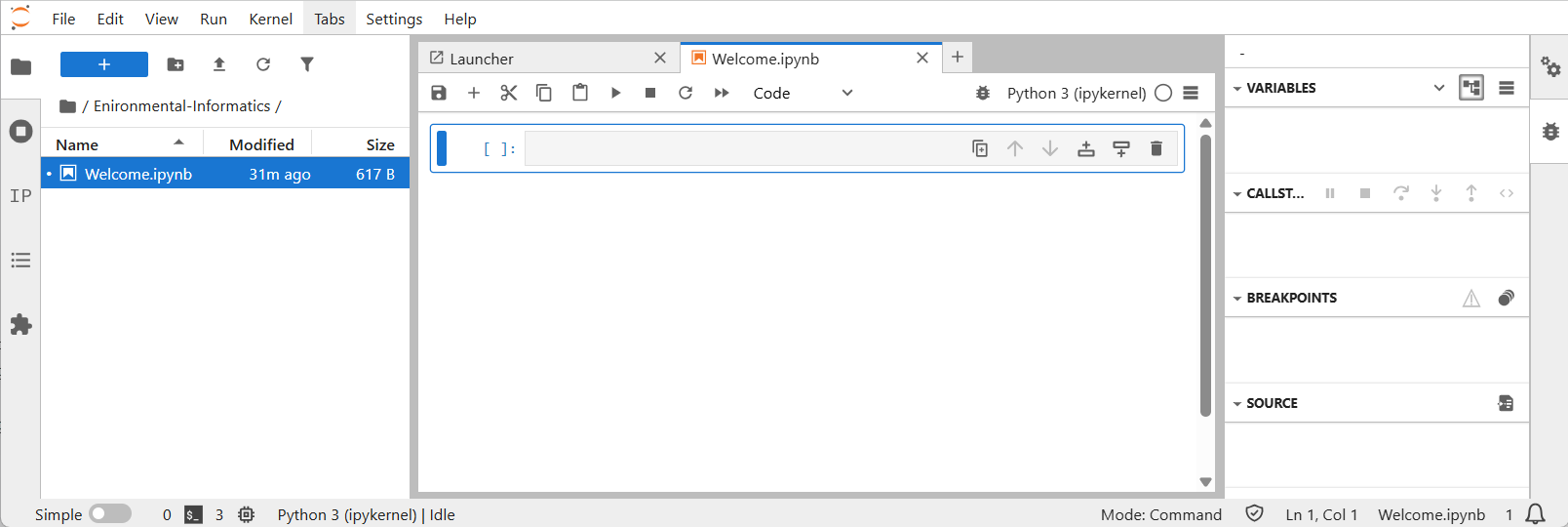 New Jupyter
Notebook