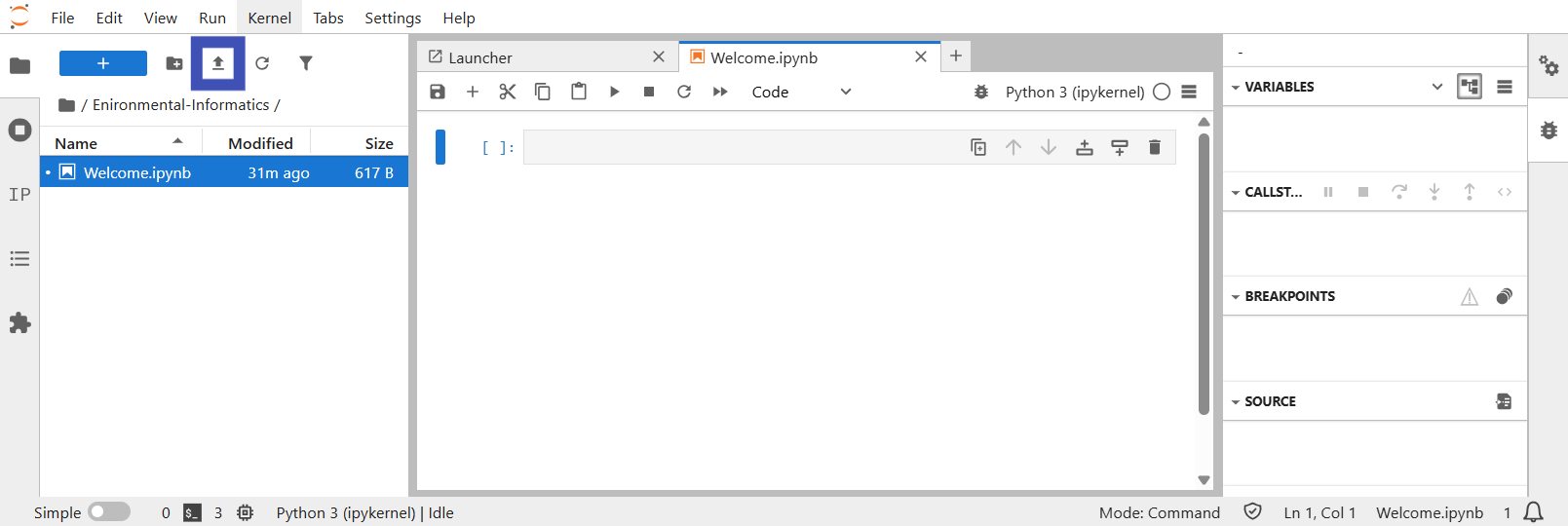 Jupyter Notebook upload