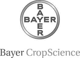bayer_grayscale1.png