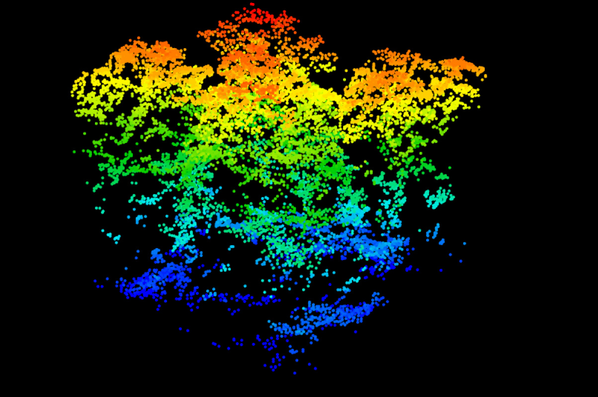 aerial lidar image of forest