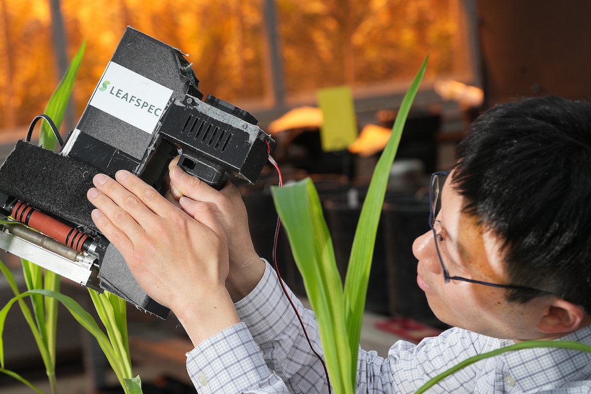 male professor collecting data in indoors