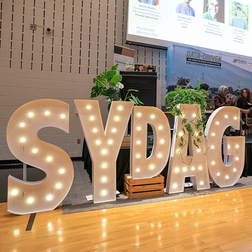sydag lighted logo near stage