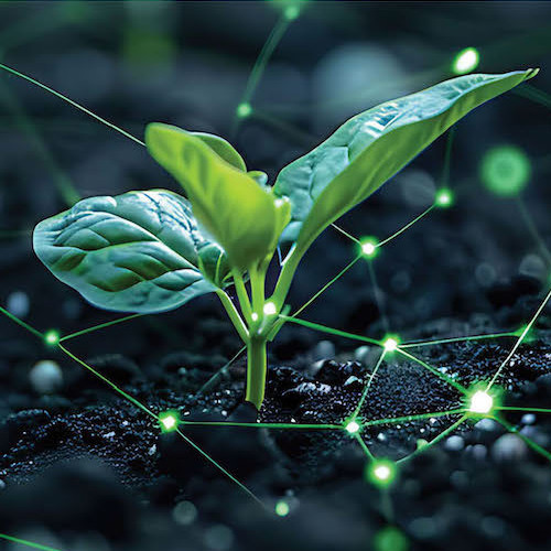 plant growing through soil with digital overlay