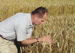 Herb Ohm in wheat field