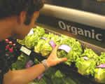Organic foods image