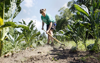 Student farm