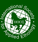 IAEE logo