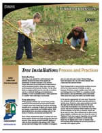 Tree Publication