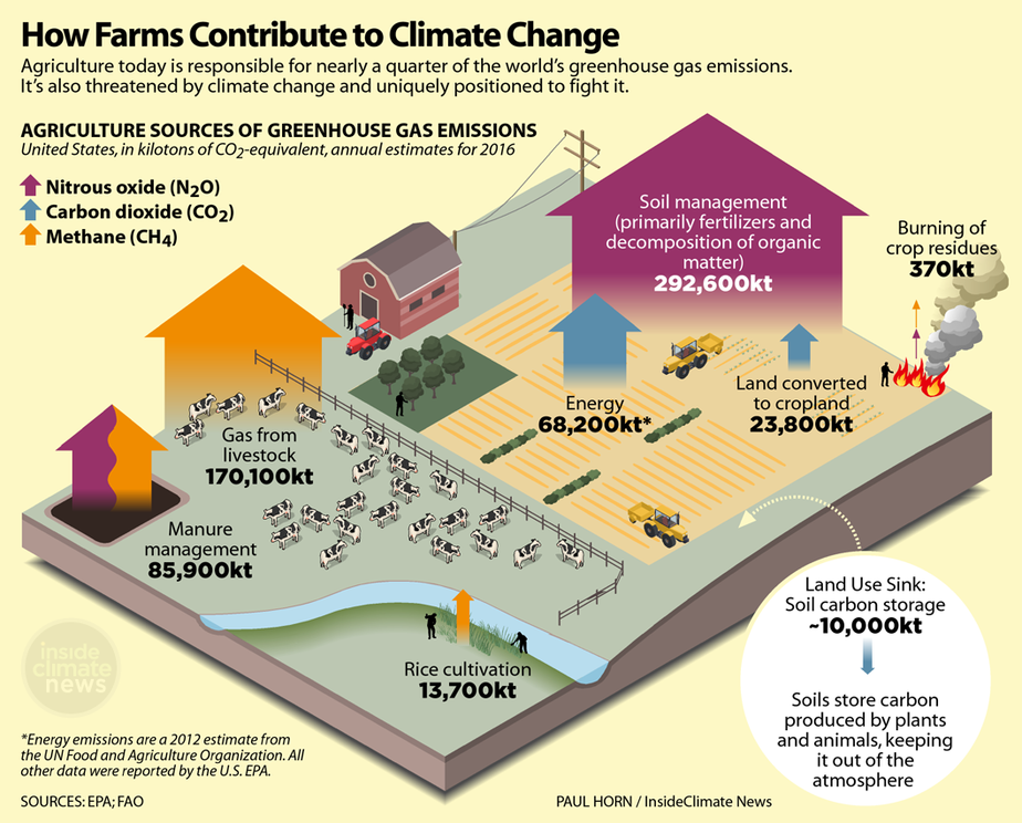 ag-climate-carbon-cycle-infographic-1058px