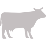 cow_g