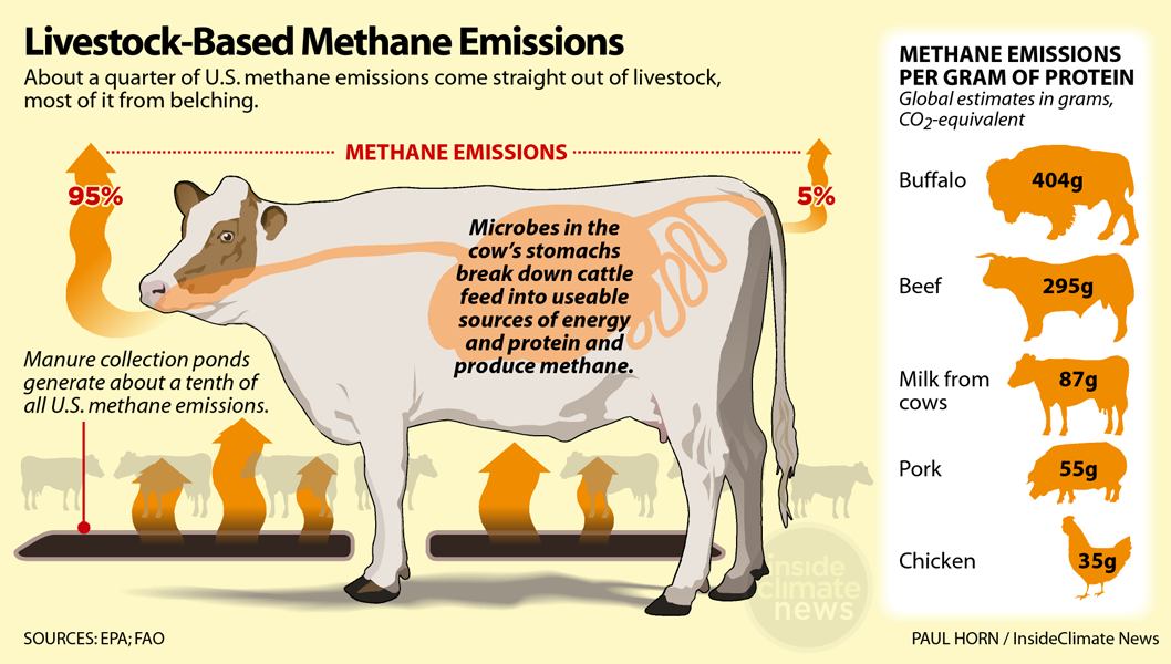 ag-climate-livestock-methane-emissions-infographic-1058px
