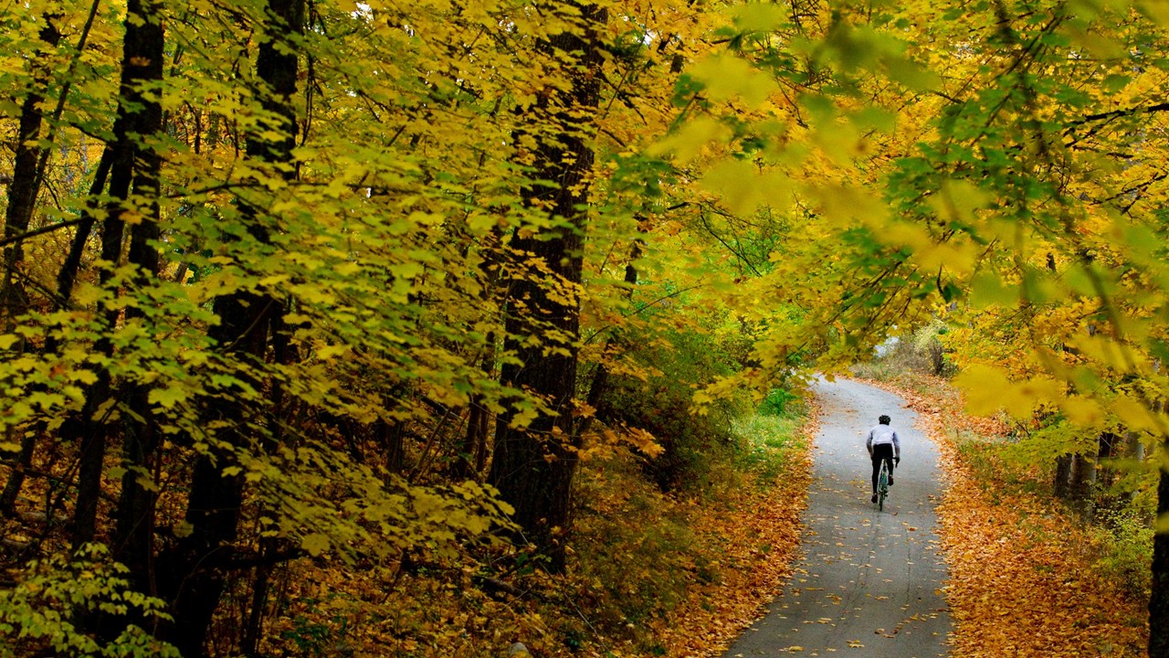 Person walking along a scenic trail through autumn forest foliage
