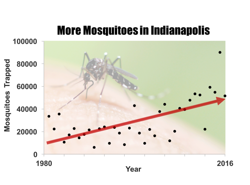 Above: Mosquitoes trapped in 20 light traps in Marion County, Indiana, from 1981 to 2016. Black dots show annual counts. Red line is the linear trend over the period of record. Source: Marion County Public Health Department and Filippelli et al. (in review).