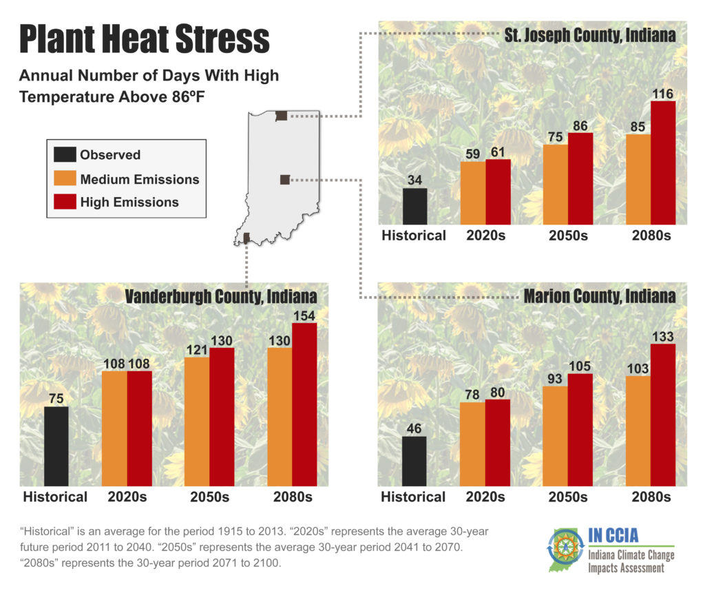 Urban page7_Plant Heat Stress comp