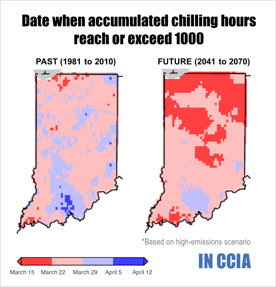 Date when accumulated chilling hours reach or exceed 1000