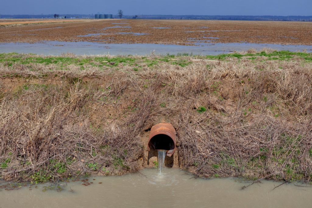 A ditch drainage pipe used for irrigation in a farmer's field.