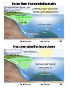 Aquatic Ecosystems In A Shifting Indiana Climate: A Report From The ...