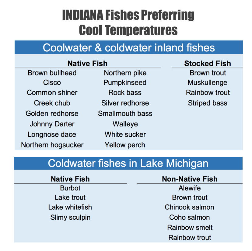 Examples of coolwater and coldwater fish found in Indiana’s inland lakes, rivers, and the Indiana waters of Lake Michigan. Research suggests that climate change will reduce habitat suitability for these fish (Mohseni et al. 2003).