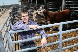 Wyatt Krom in a cattle farm 