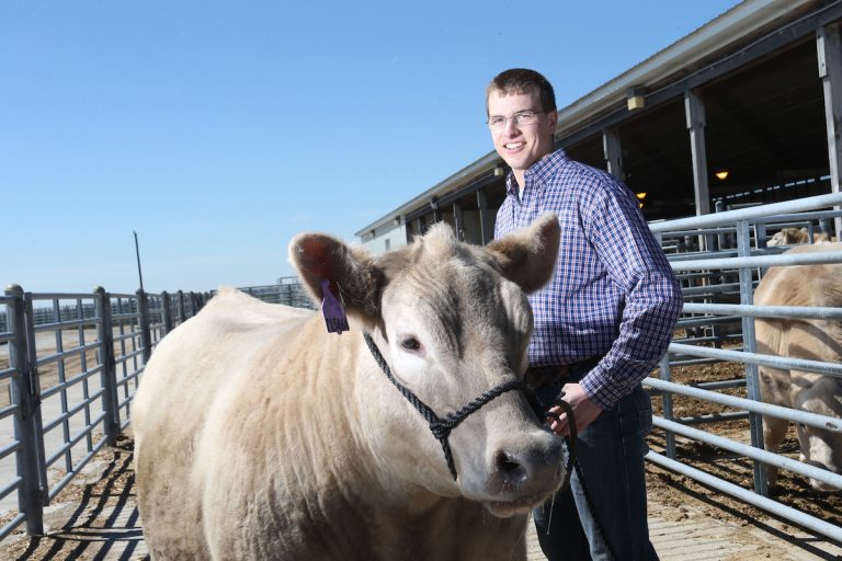 Wyatt Krom with a cow in a cattle farm 
