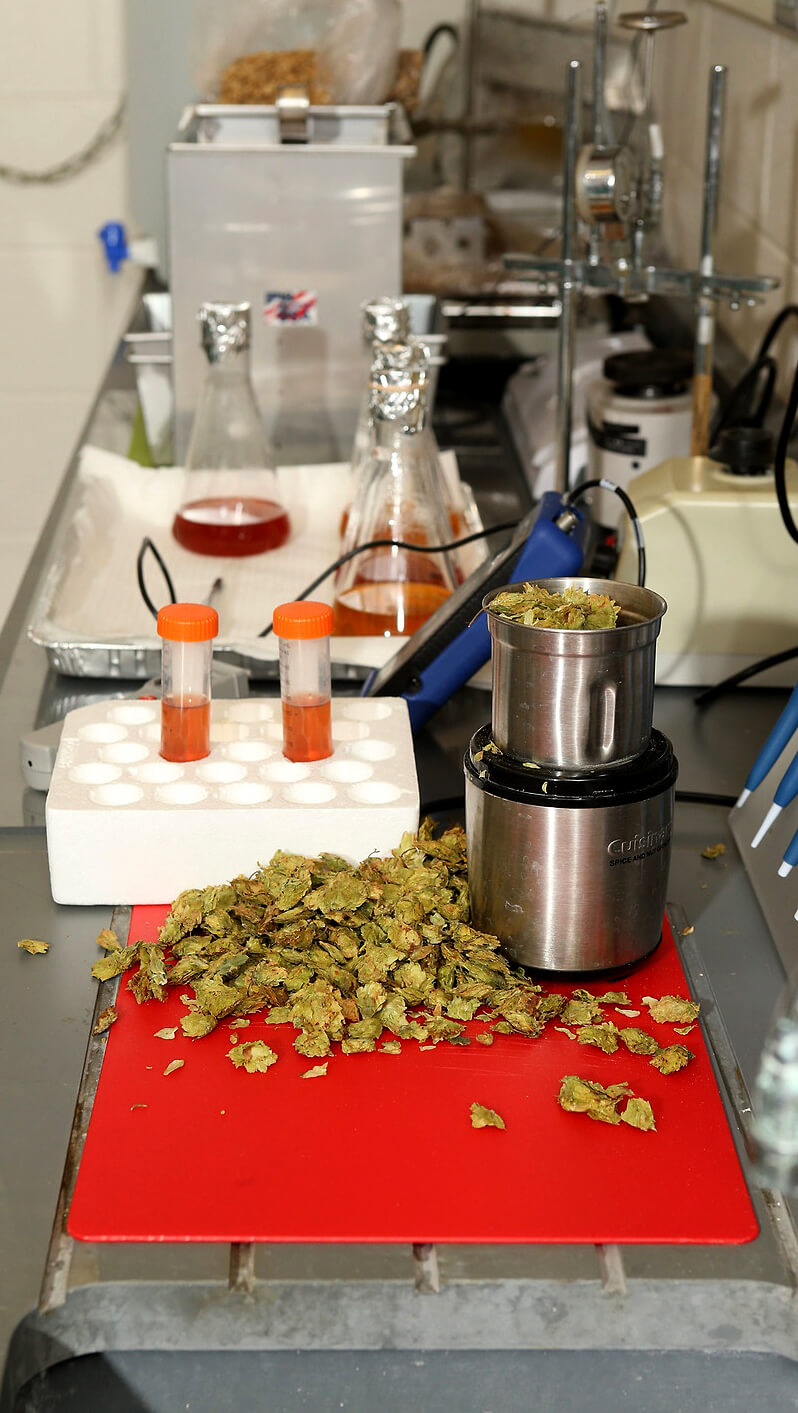 hopslab-sample021.jpg