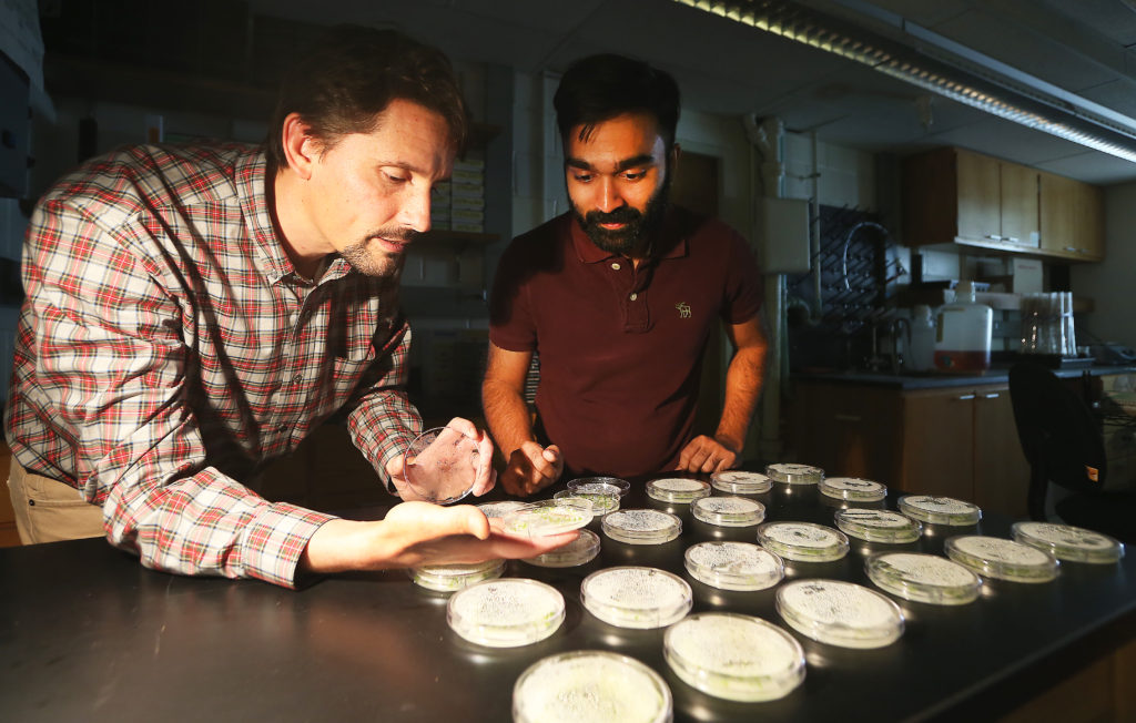 student and professor working in research