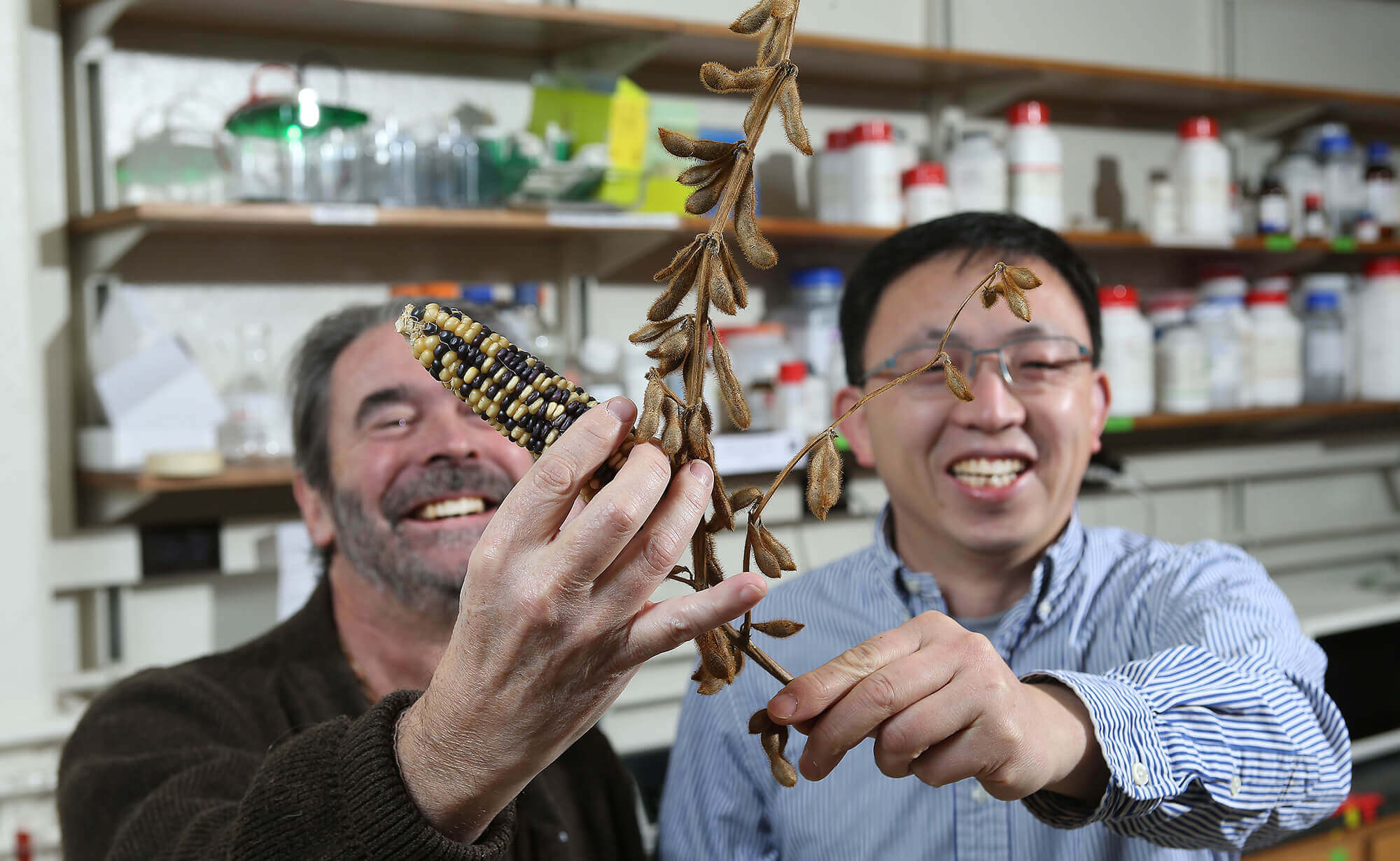 Purdue University researchers Damon Lisch (left) and Jianxin Ma have found that while soybean and maize genomes doubled around the same time, they did so in different ways (Purdue Agricultural Communication photo/Tom Campbell).