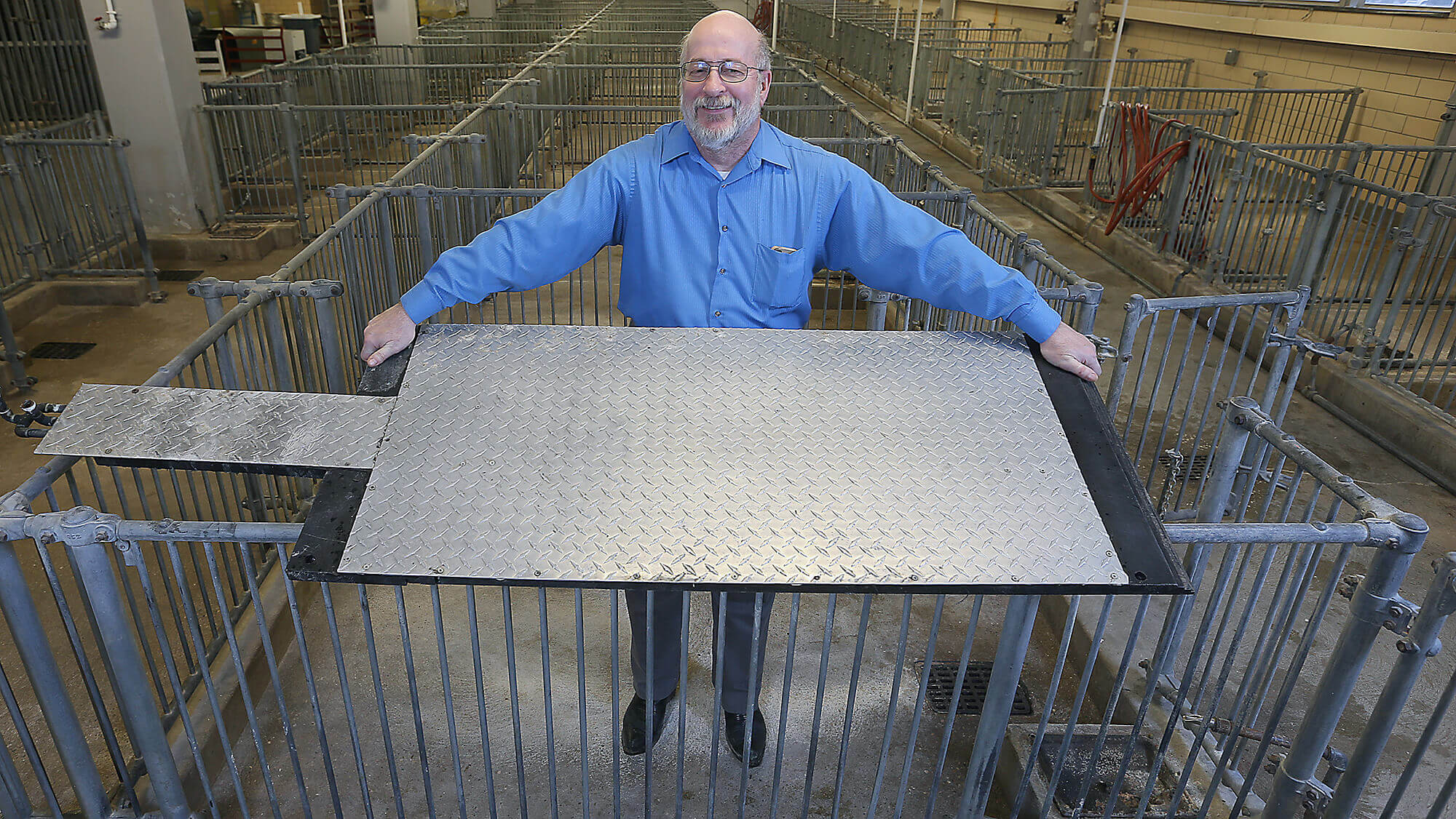 Robert Stwalley, assistant professor in the Department of Agricultural & Biological Engineering at Purdue University, shows a cooling pad designed to keep sows more comfortable during farrowing. The pads, developed by Stwalley and Allan Schinckel, professor in the Department of Animal Sciences, consist of 2-foot-by-4-foot aluminum tread plate on top of copper pipes that circulate water. (Purdue Agricultural Communication photo/Tom Campbell)