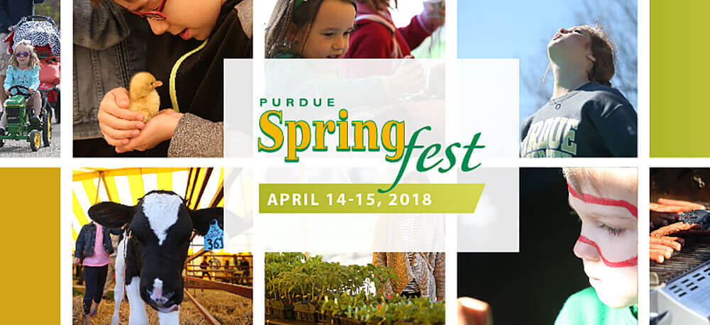 From racing robotic fish and a mind-controlled model car to cricket spitting and livestock demonstrations, this year’s Spring Fest will provide plenty of fun for the entire family. Spring Fest 2018 runs April 14 and 15, 10 a.m. to 4 p.m. each day, on the grounds of the College of Agriculture, 615 W. State St. (Purdue Agricultural Communication image) 