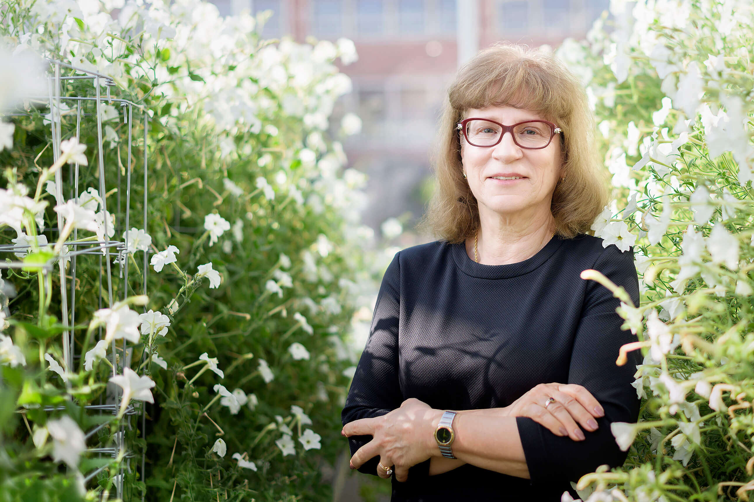 Natalia Dudareva has uncovered the switches that control terpenoid production in plants. The findings may lead to methods for increasing production of the compounds that have a wide range of uses, from fragrances and flavorings to biofuels and pharmaceuticals.