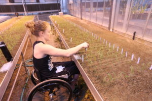 woman in a wheelchair working in a greenhouse 