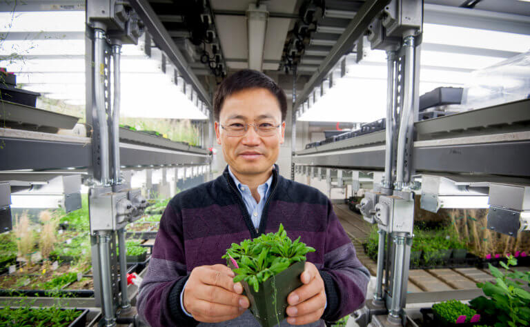 Zhu showing a plant
