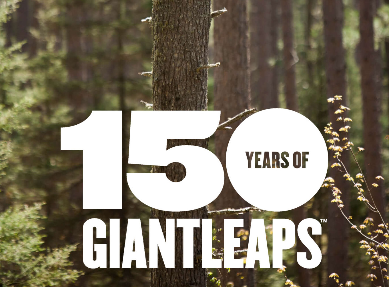 Forest and giantleaps logo 