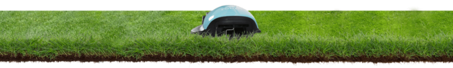 lawn robot on a grass field