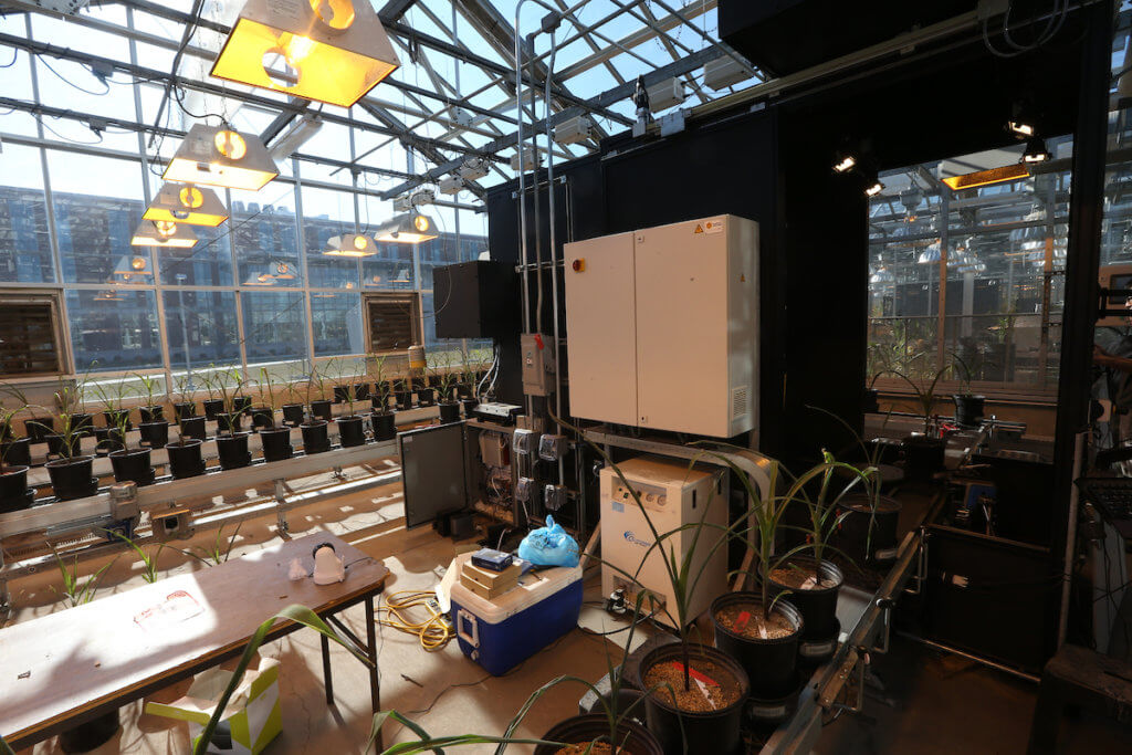 automated phenotyping green house equipment