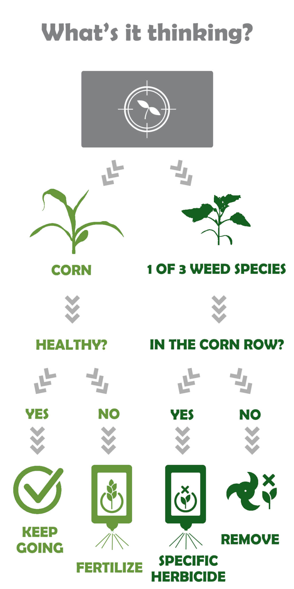 flow chart of agbot