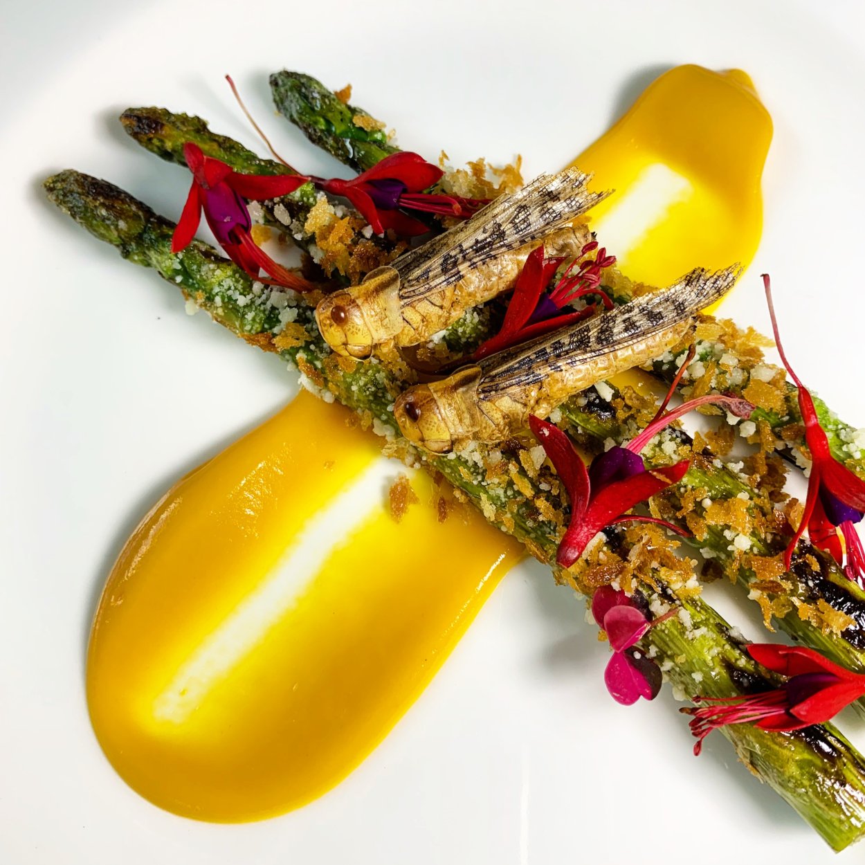 asparagus with edible crickets on top 