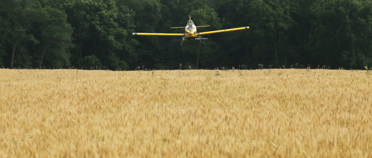 Airplane flying low over a soybean plantation