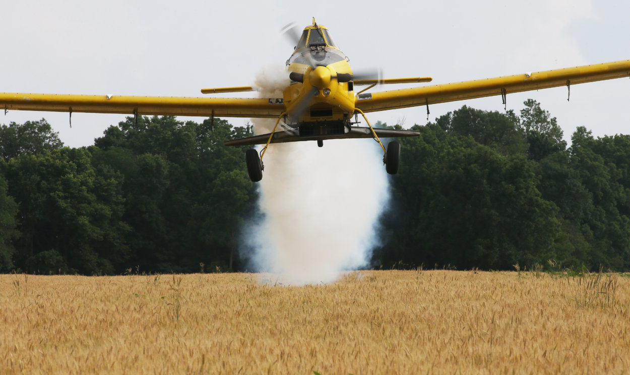 airplane spraying soybean plantation