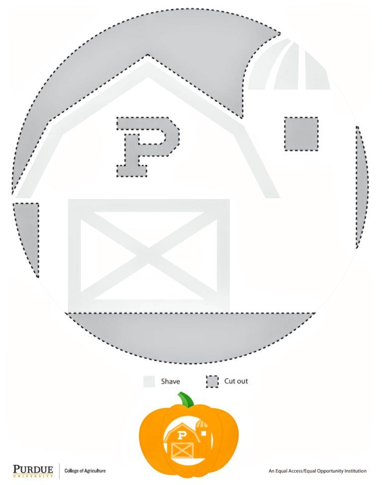 graphic with a pumpkin carving pattern 