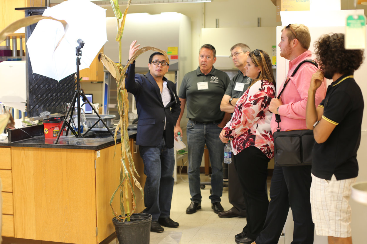 young male explaining plant corn characteristics  