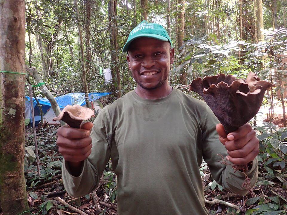 Jumbam holding a selection of mushrooms in Cameroon