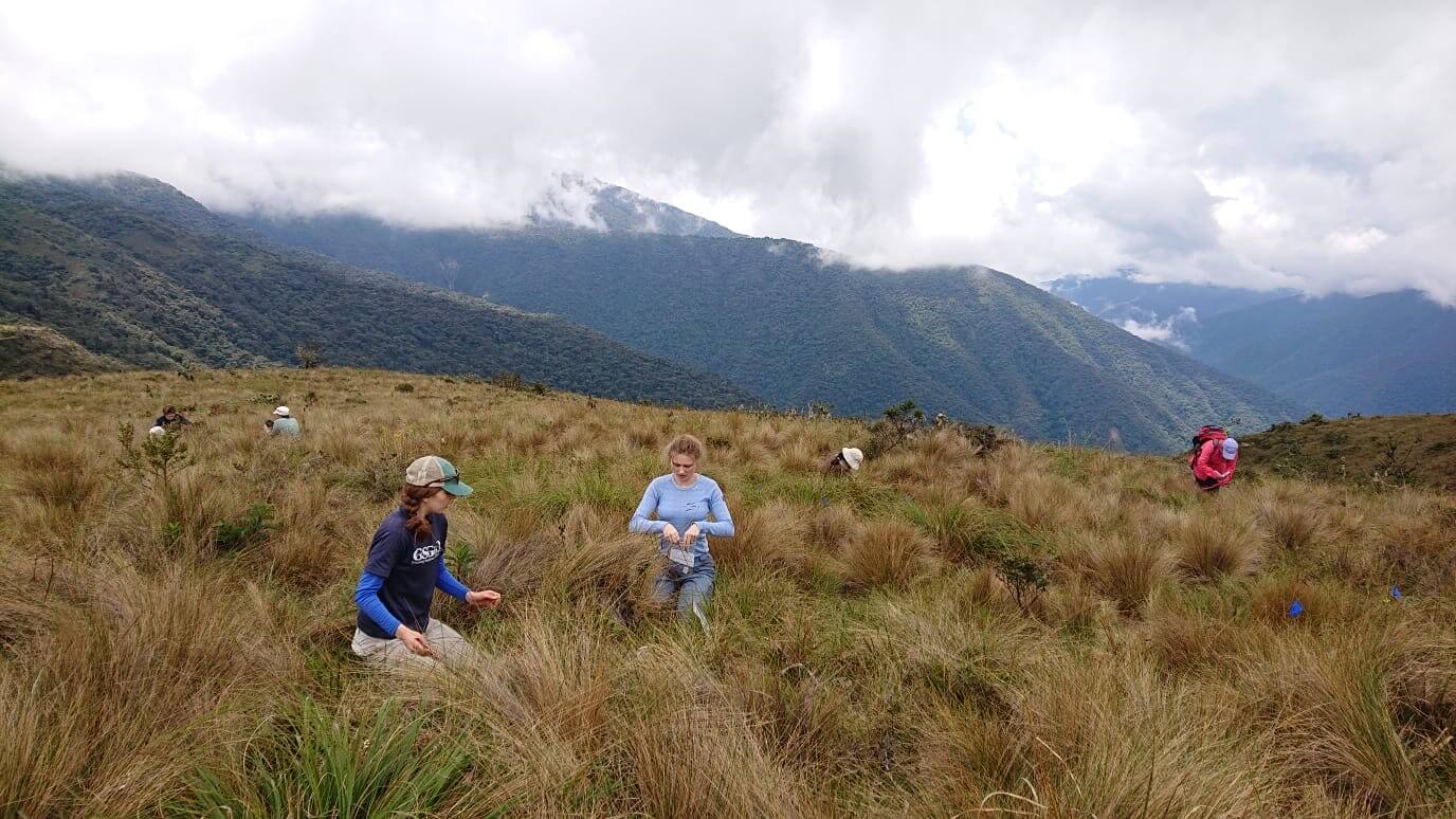 Jessup (in the blue shirt and baseball cap) works at Wayquecha Biological Station in the Andes. Photo provided by Laura Jessup.