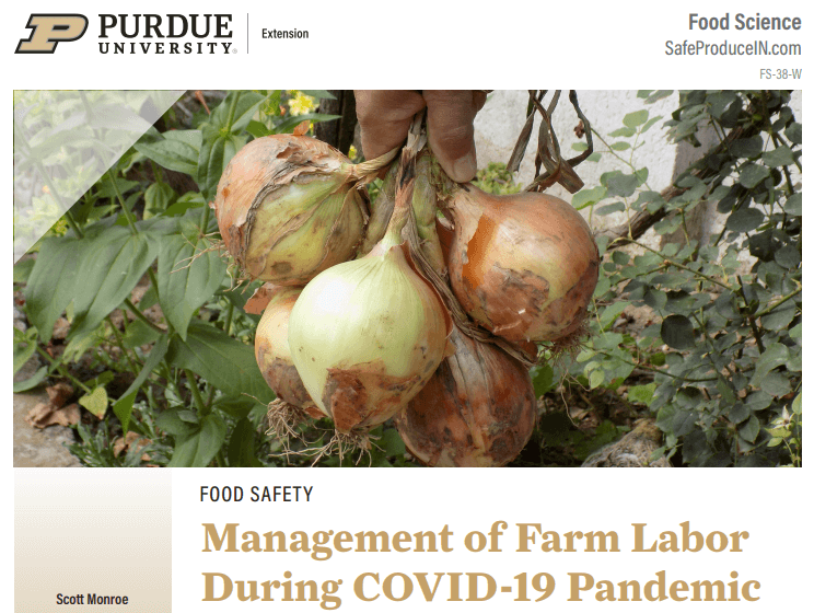 Management of Farm Labor During COVID-19 Pandemic