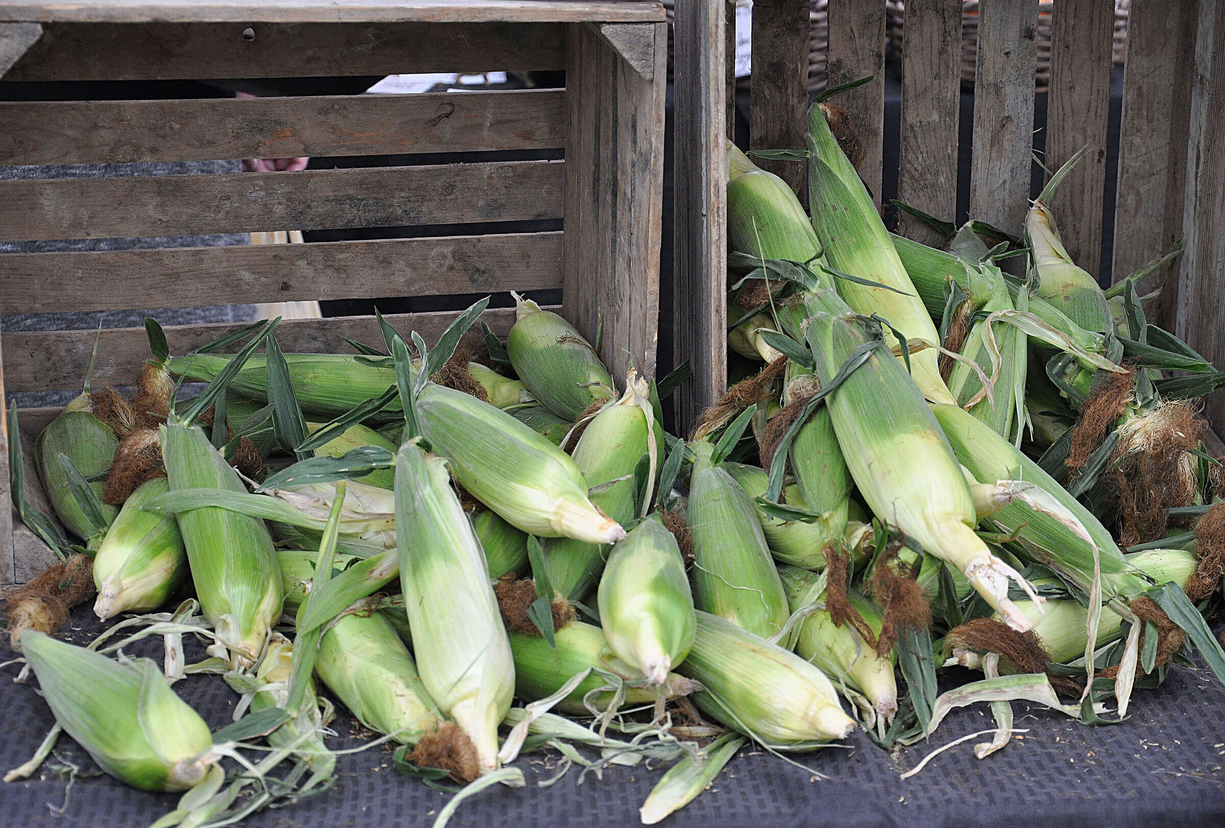 Corn sold at a local farmers market. (Tom Campbell for the College of Agriculture, 2016.)