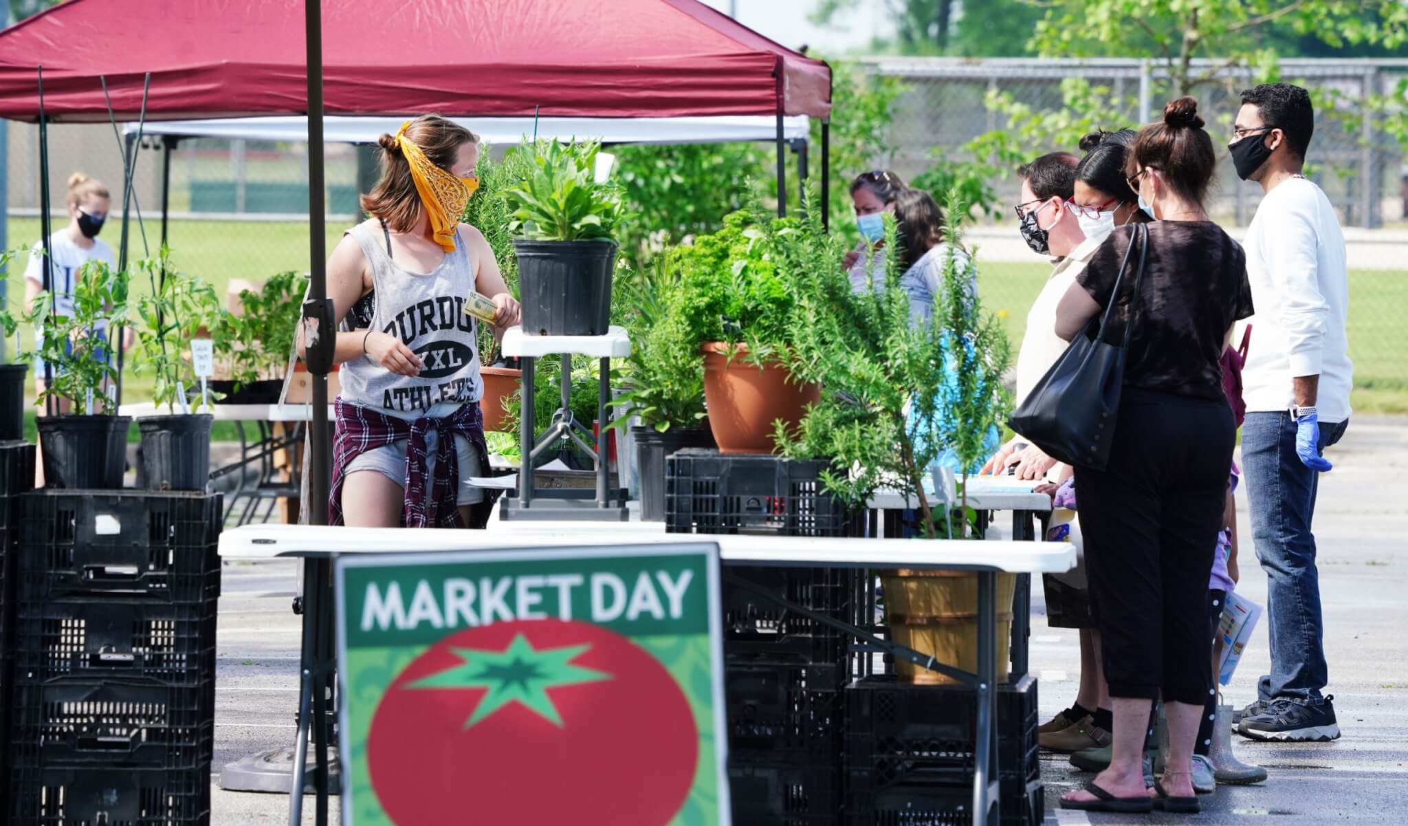 West Lafayette, IN farmers market. Photo by Tom Campbell.