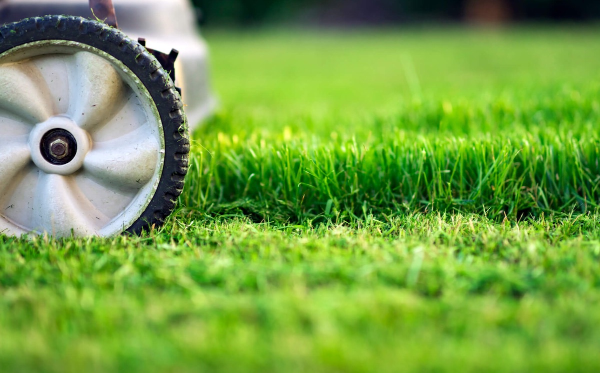 Mower wheel showing on a grass landscape