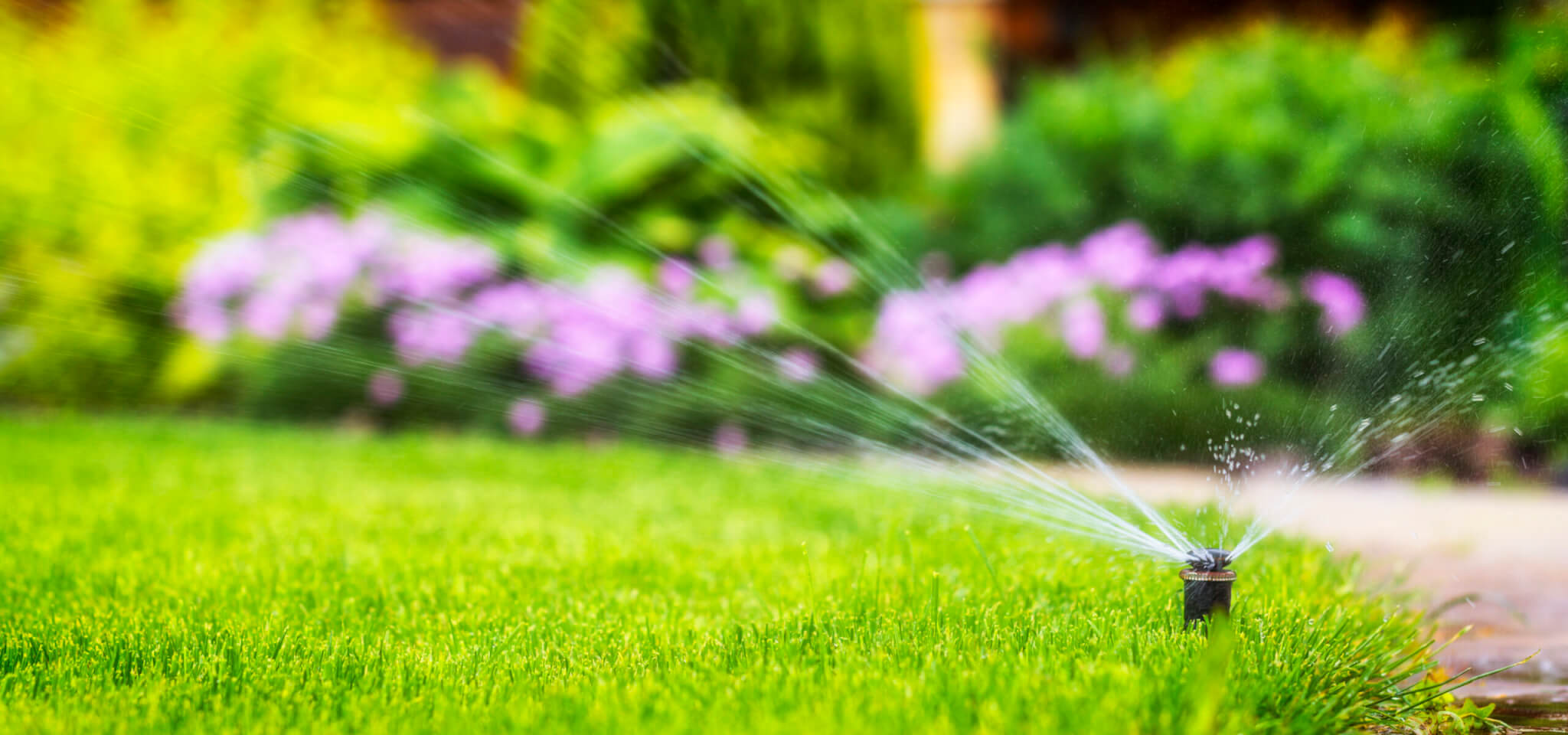 lawn landscape with sprinkle water